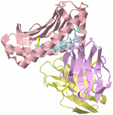 Image Biological Unit 3