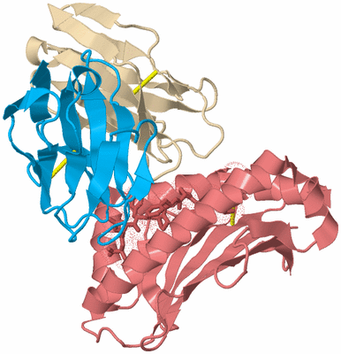 Image Biological Unit 4