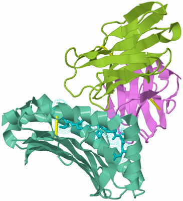 Image Biological Unit 5