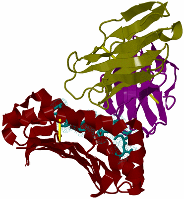 Image Biological Unit 7