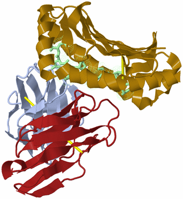 Image Biological Unit 8