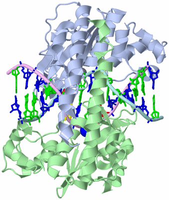 Image Asym./Biol. Unit