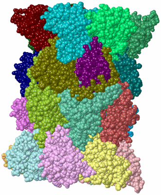 Image Asym./Biol. Unit - sites