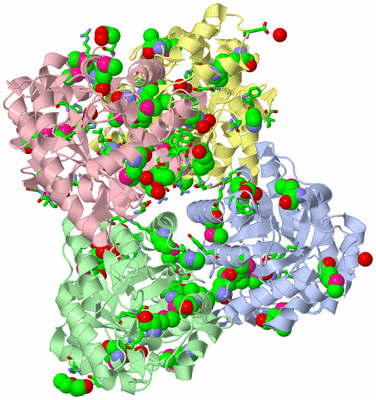 Image Asym./Biol. Unit - sites