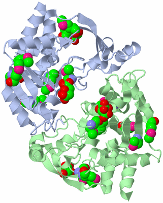 Image Asym./Biol. Unit