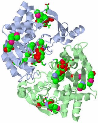 Image Asym./Biol. Unit - sites