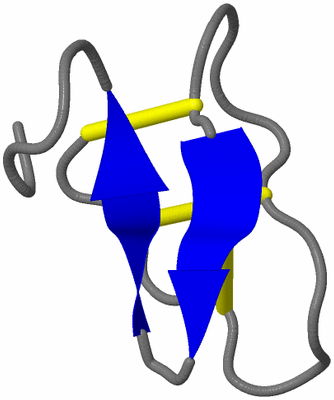 Image Asymmetric Unit