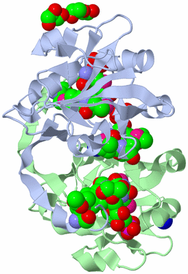 Image Asym./Biol. Unit