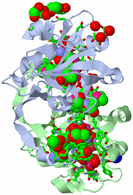 Image Asym./Biol. Unit - sites