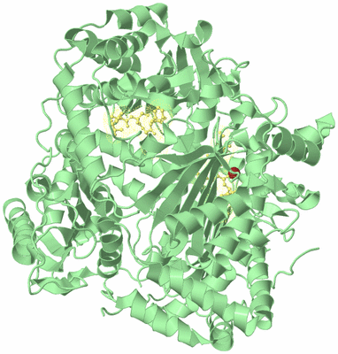 Image Biological Unit 2