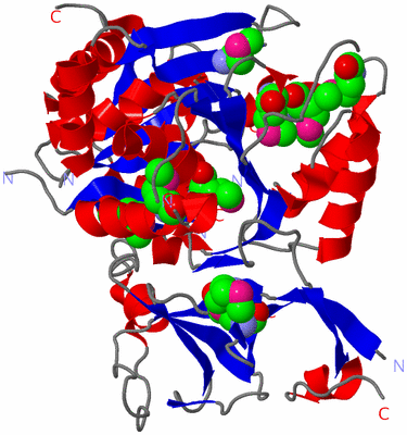 Image Asym./Biol. Unit