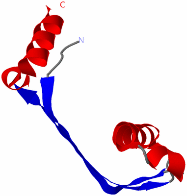 Image Asymmetric Unit