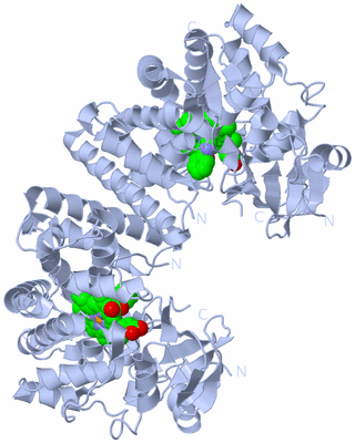 Image Biological Unit 2