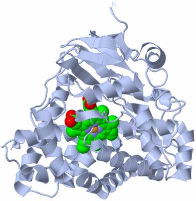 Image Biological Unit 1