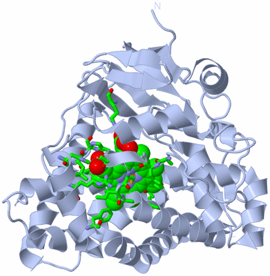 Image Biol. Unit 1 - sites