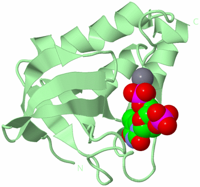 Image Biological Unit 2