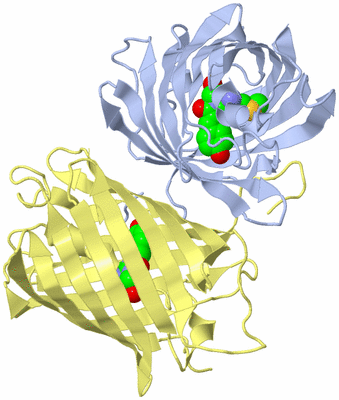 Image Biological Unit 1