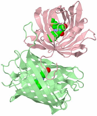 Image Biological Unit 2