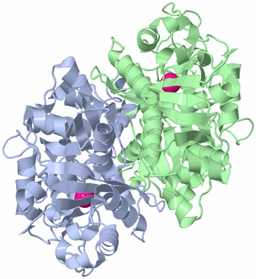 Image Asym./Biol. Unit