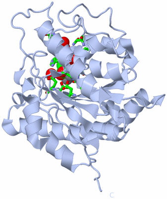 Image Biol. Unit 1 - sites