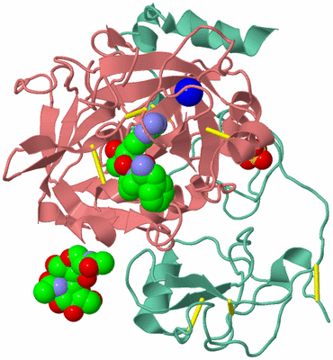 Image Asym./Biol. Unit