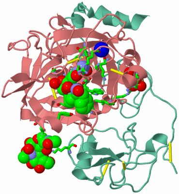 Image Asym./Biol. Unit - sites