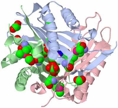 Image Biological Unit 1