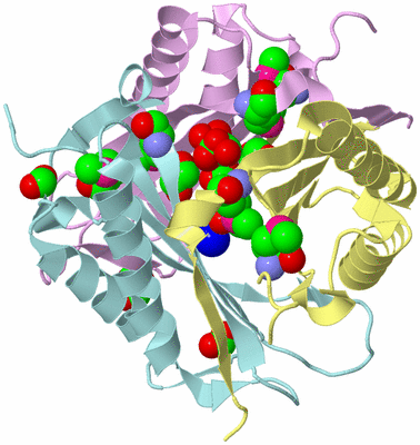 Image Biological Unit 2