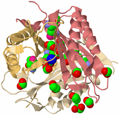 Image Biological Unit 3