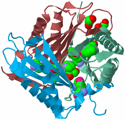 Image Biological Unit 4