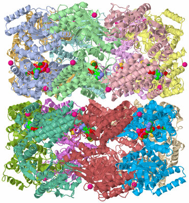 Image Asym./Biol. Unit