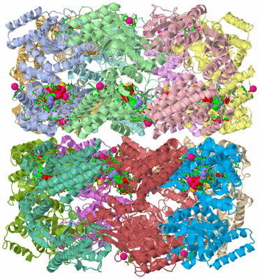 Image Asym./Biol. Unit - sites