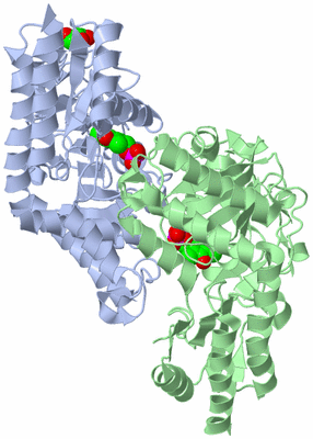 Image Biological Unit 1