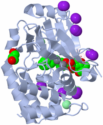 Image Biological Unit 1