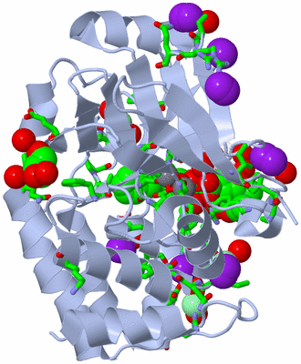 Image Biol. Unit 1 - sites