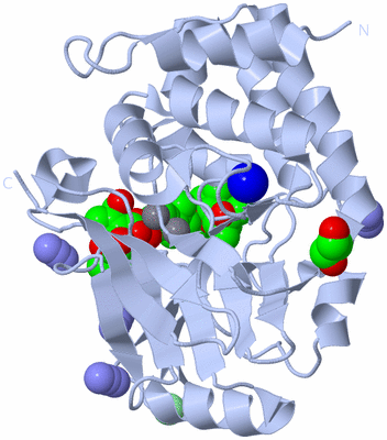 Image Biological Unit 1