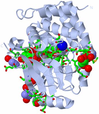 Image Biol. Unit 1 - sites