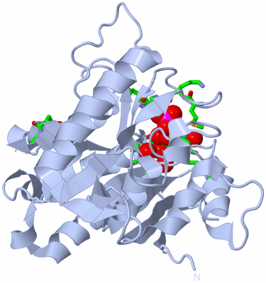 Image Biol. Unit 1 - sites