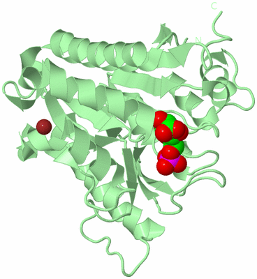 Image Biological Unit 2