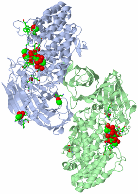 Image Asym./Biol. Unit - sites