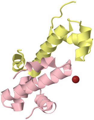 Image Biological Unit 2