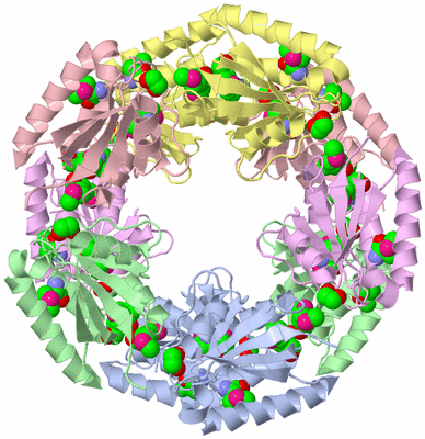 Image Biological Unit 1