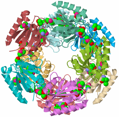 Image Biological Unit 2