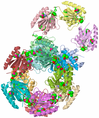 Image Asym. Unit - sites