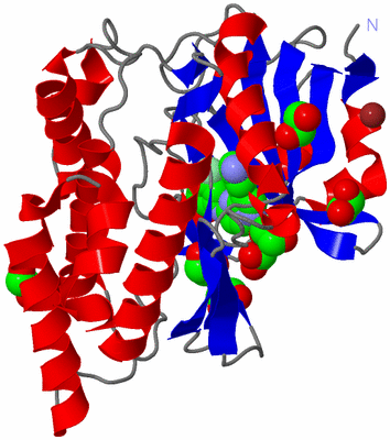 Image Asym./Biol. Unit