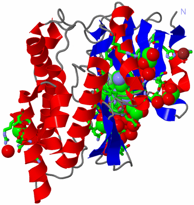 Image Asym./Biol. Unit - sites