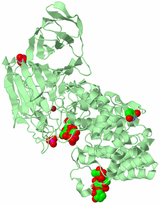 Image Biological Unit 2