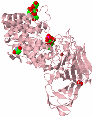 Image Biological Unit 3