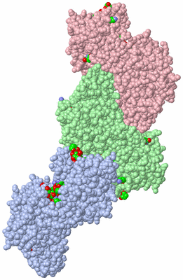 Image Asym. Unit - sites