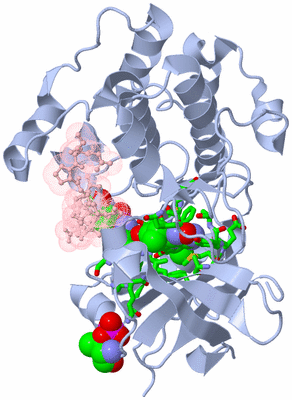 Image Biol. Unit 1 - sites